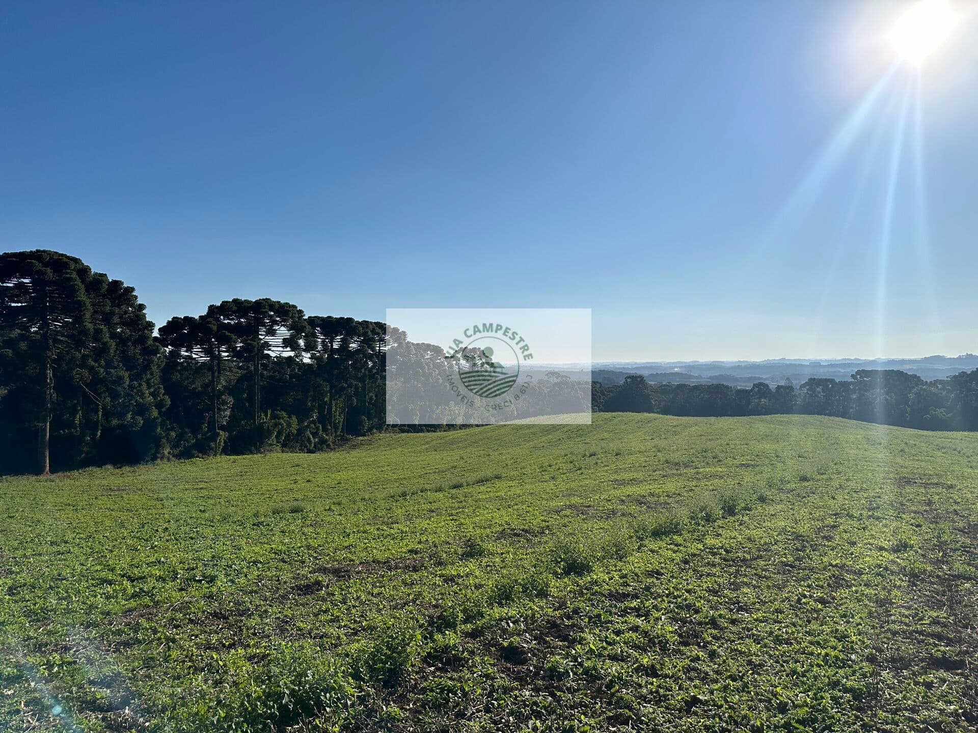 Area rural com 45 hectares, escriturada, atrás do condominio Trilha dos Carroções