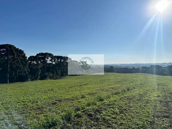 Area rural com 45 hectares, escriturada, atrás do condominio Trilha dos Carroções