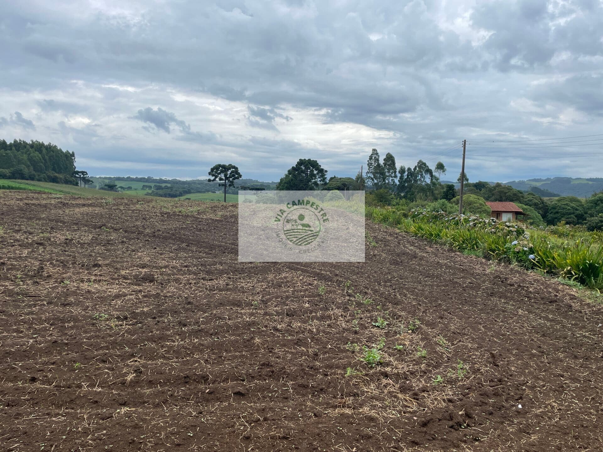 Sítio com 48.000 m², todo limpo, ótimo para plantação, analisa permuta parcial