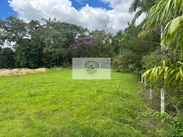 Terreno escriturado, lateral da Estrada da Ilha, com 2.175 m2, unico na região, em condominio