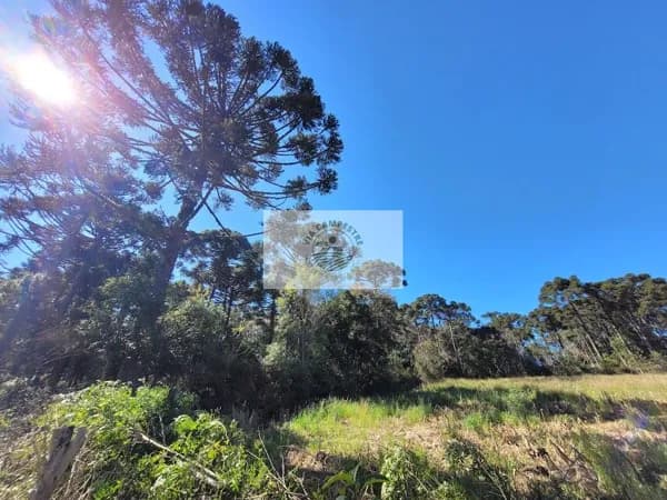Sítio com 30.000 m², escriturado, região de Avenquinha