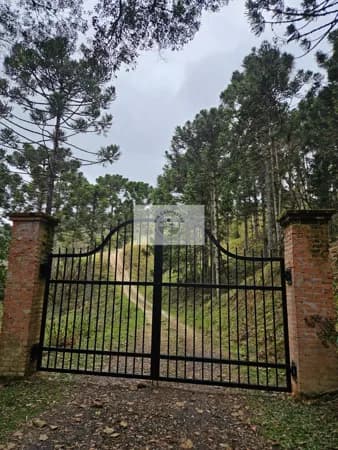 Sítio com 20.000 m², escriturado, pertinho do asfalto, analisa permuta