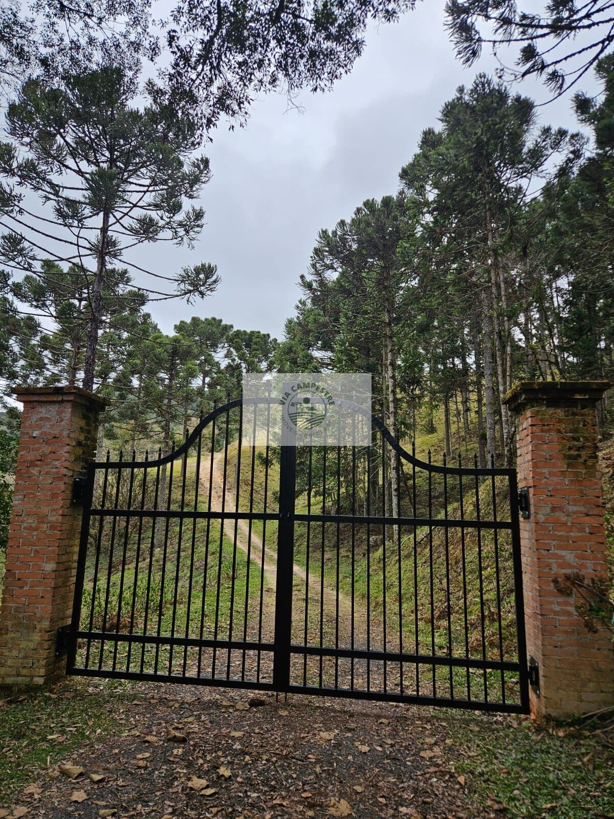 Sítio com 20.000 m², escriturado, pertinho do asfalto, analisa permuta