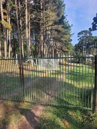 Sítio escriturado com 52.000 m², com nascente e lindas araucarias