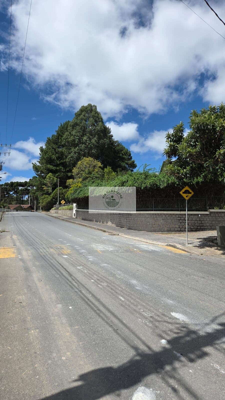 Terreno na area central de Campo Alegre, com 1.229,81 m2, escriturado, frente para o asfalto