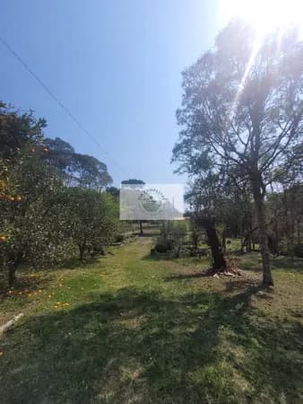 Sítio com 5.785 m², documentado, região de Avenquinha, com lago, araucárias