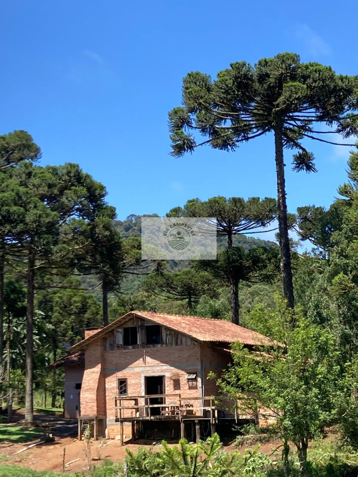 Sítio em Campo Alegre com 35.000 m², residencia rustica, terreno levemente ondulado, todo cercado