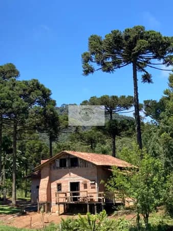 Sítio em Campo Alegre com 35.000 m², residencia rustica, terreno levemente ondulado, todo cercado