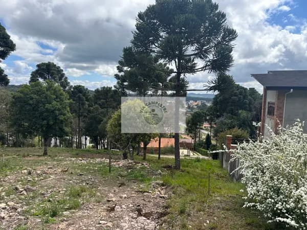 Terreno em condominio fechado com 3.380 m2, area central de Campo Alegre, aceita financiamento e permuta