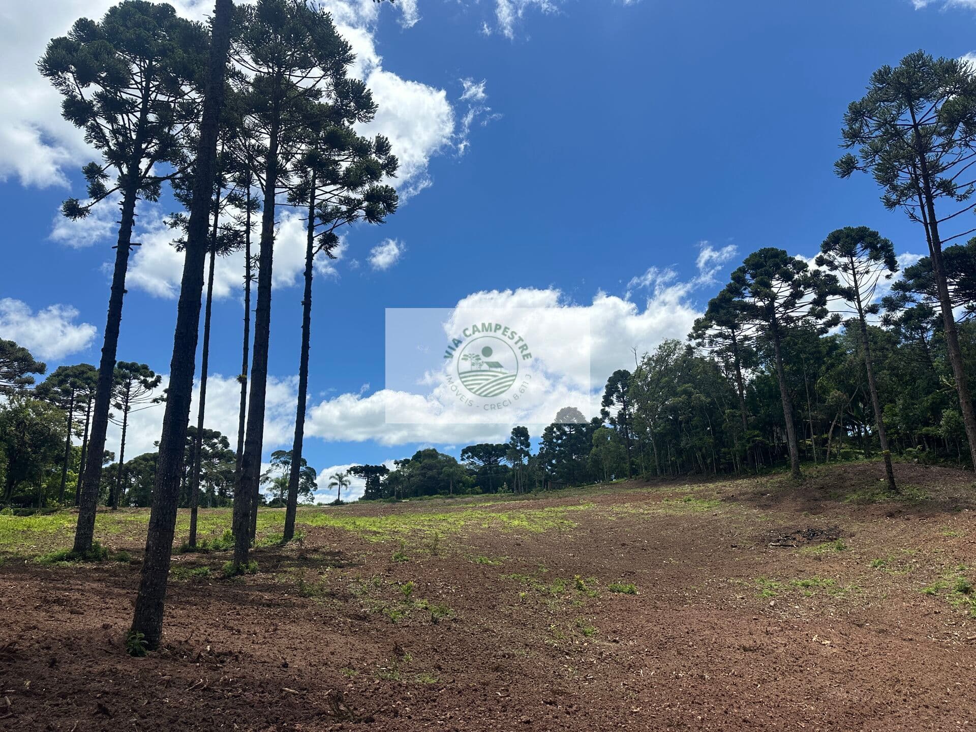 Terreno urbano com 20.000 m² em Campo Alegre, frente para o asfalto, com riacho