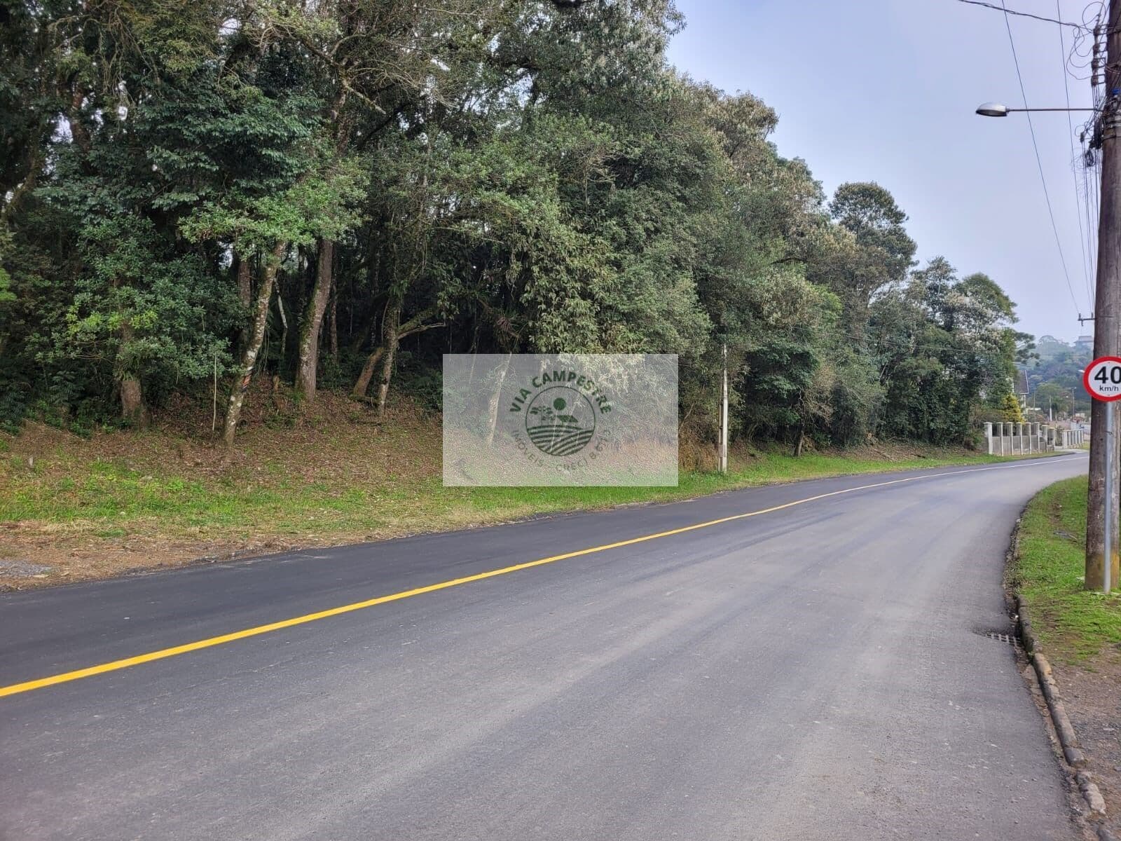 Terreno com 6.000 m², frente para o asfalto, escriturado
