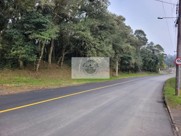 Terreno com 6.000 m², frente para o asfalto, escriturado