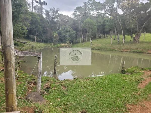 Sítio com 30.000 m², região de Serrinha em Campo Alegre/SC, apenas 1,5 km do asfalto