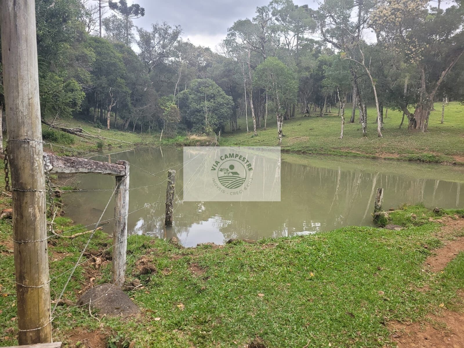 Sítio com 30.000 m², região de Serrinha em Campo Alegre/SC, apenas 1,5 km do asfalto