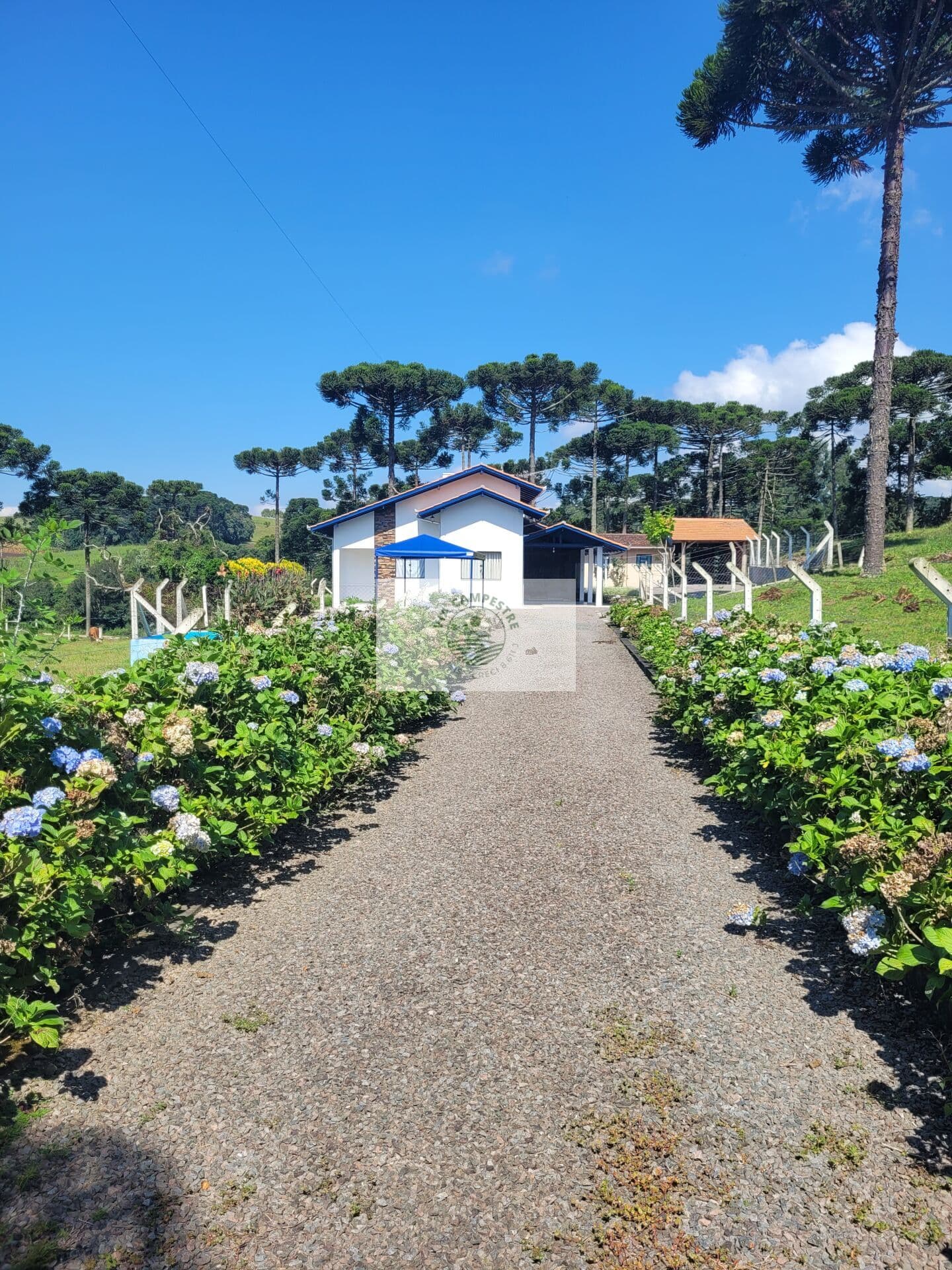 Sítio com 7.569 m² com residência de 3 dormitórios, bairro São Miguel