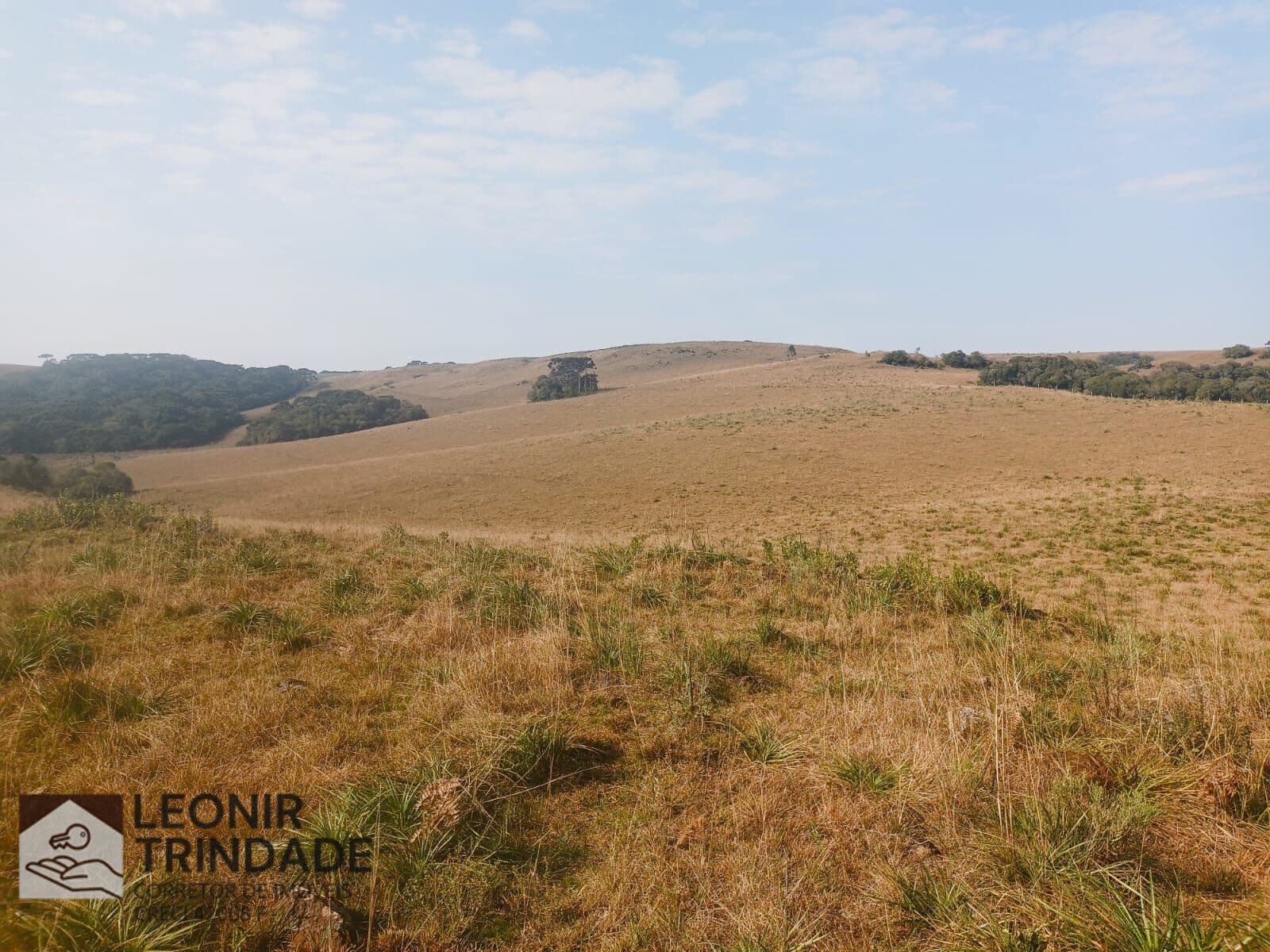 CAMPO de 598.674,85 m² para criação de gado, Criúva, Caxias do Sul, RS