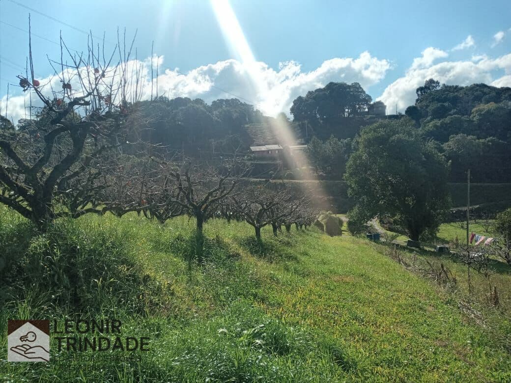 Área Residencial /Comercial