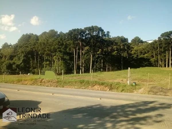 TERRENO INDUSTRIAL EM CAXIAS DO SUL, RS