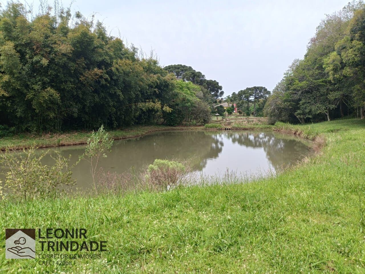 Chácara com 3 hectares, em Farroupilha, melhor lugar para morar.