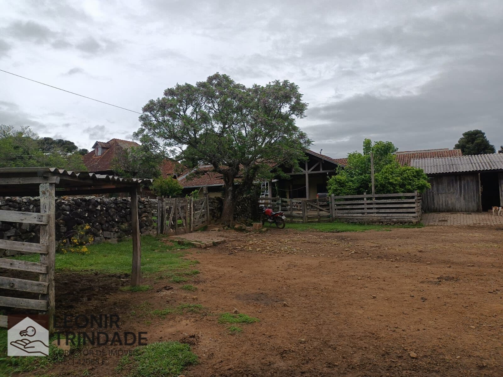 Fazenda para Pecuária de 223,3 ha