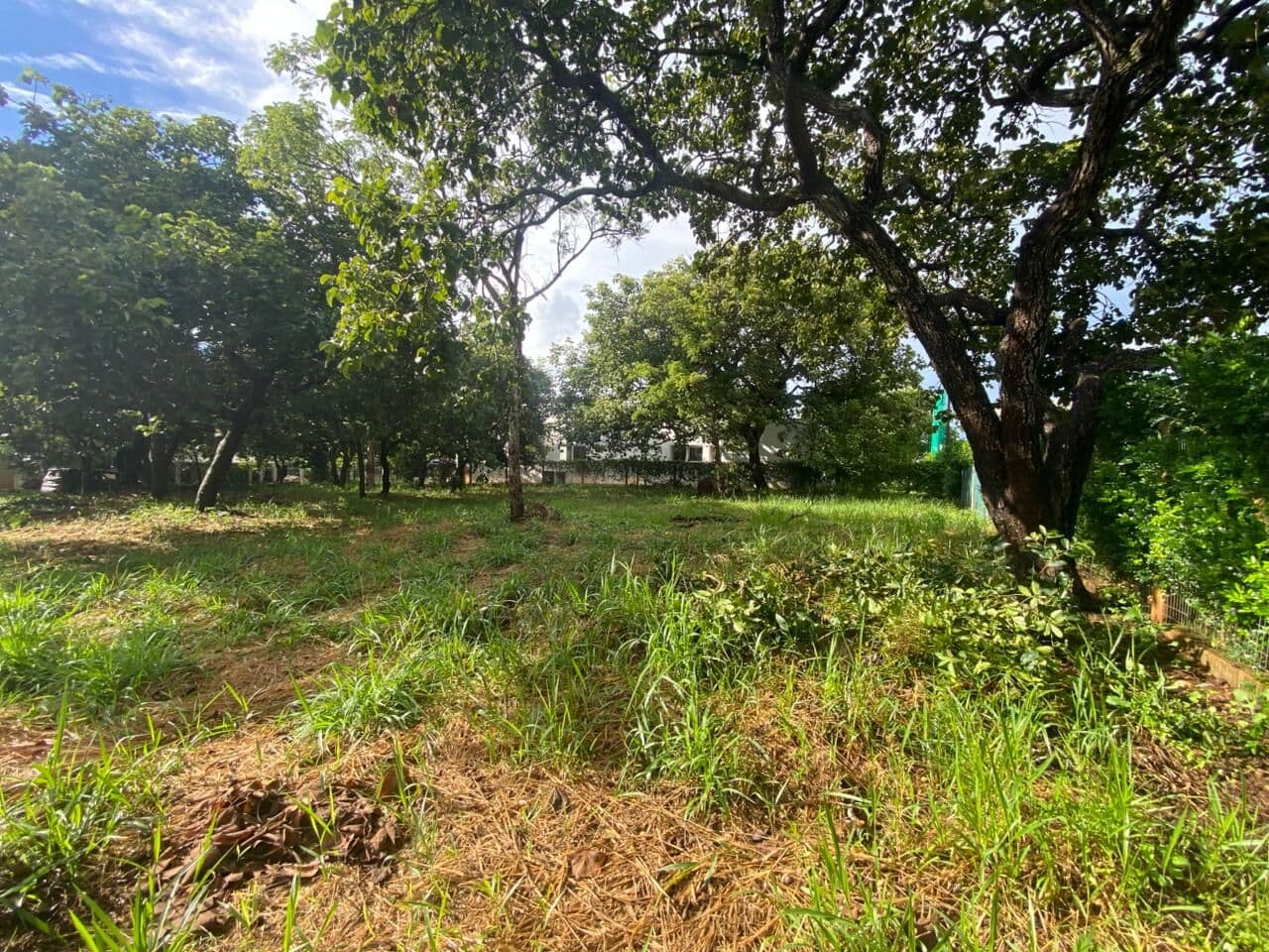Excelente lote plano no Condomínio Veredas da Lagoa – 1.040 m²