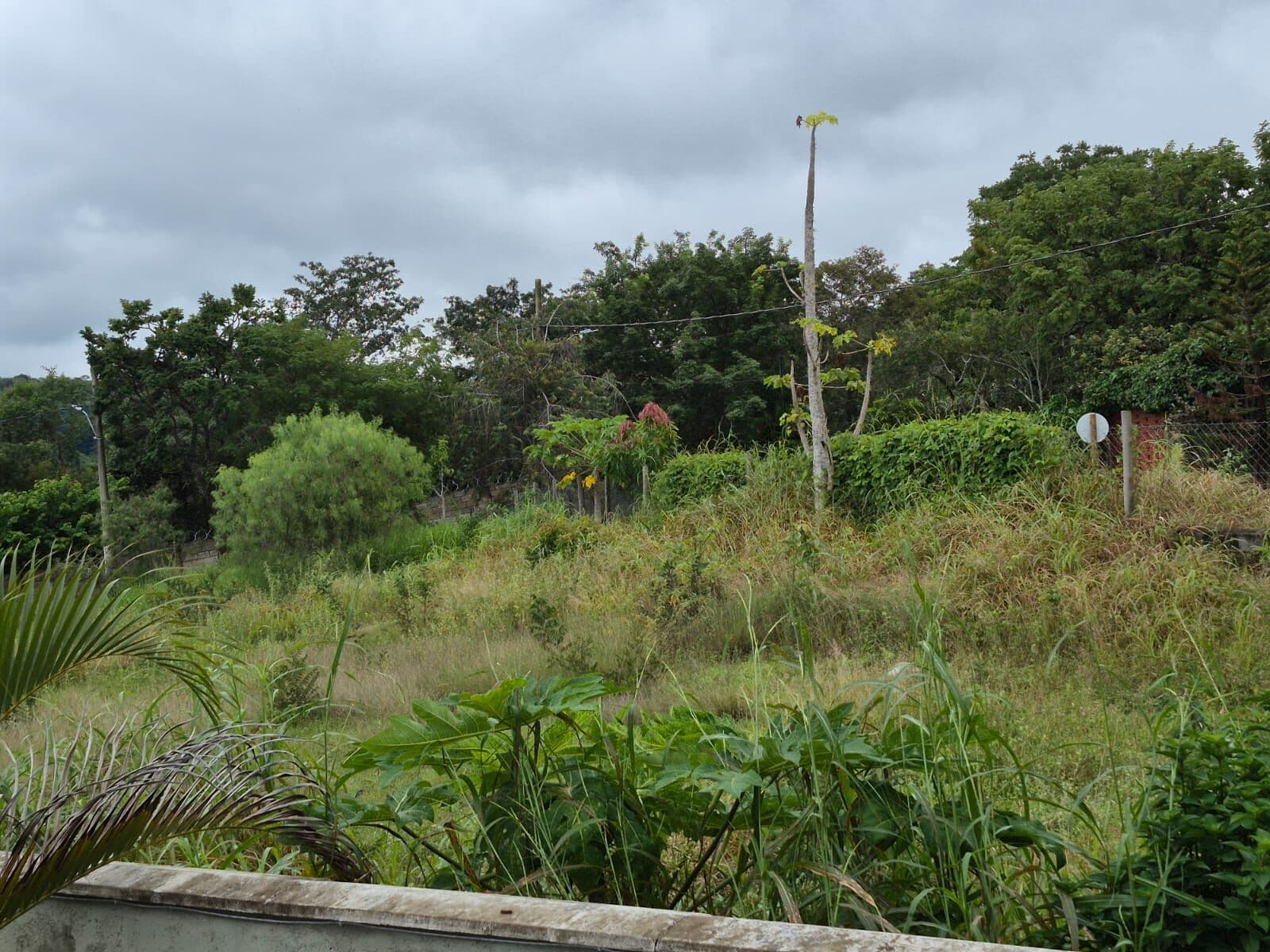 OPORTUNIDADE LOTE 1080M² CONDOMÍNIO FECHADO - MIRANTE TAMBORIL