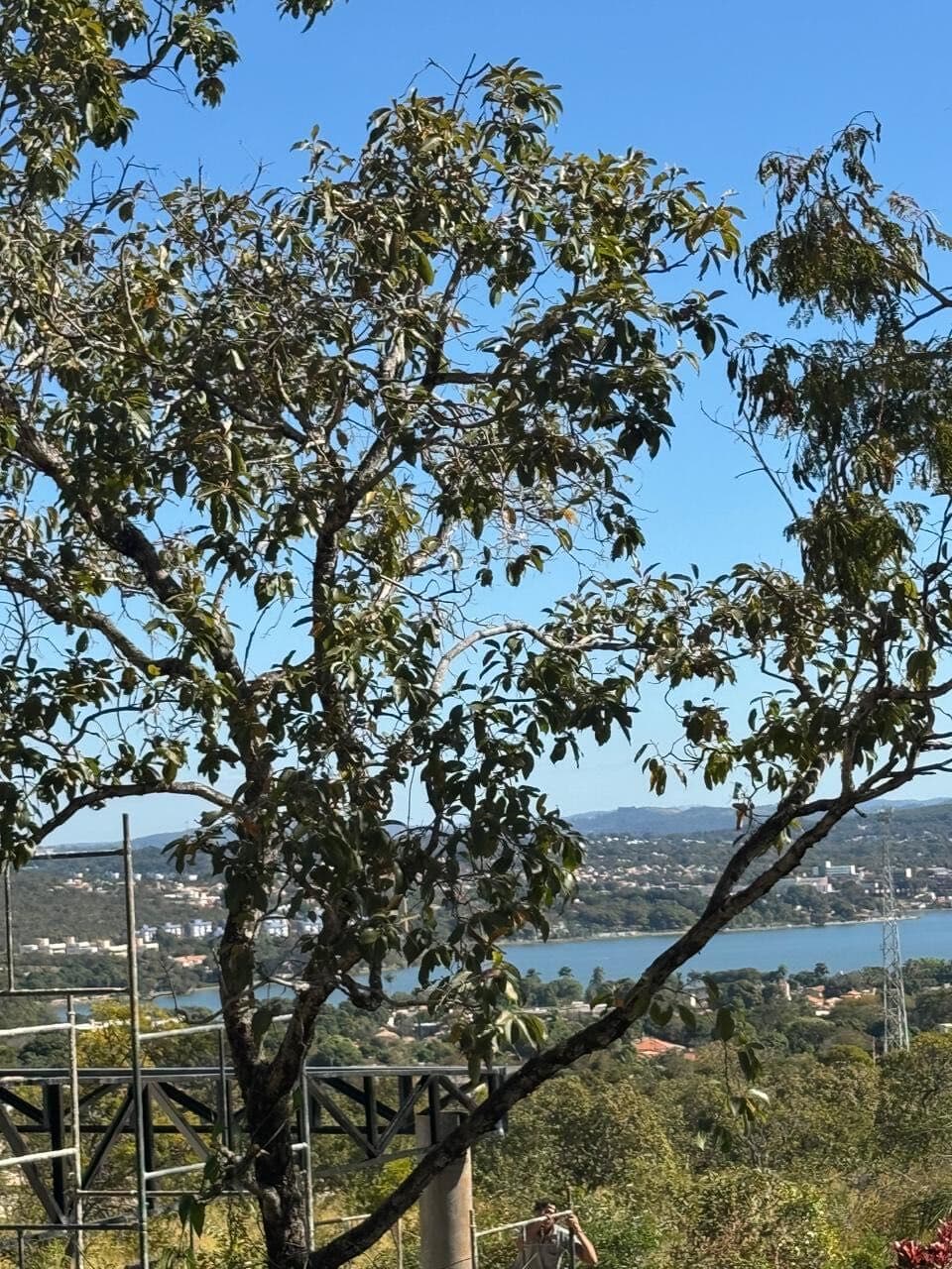 Lote de 1.390 m² com Projeto Aprovado e Vista para a Lagoa