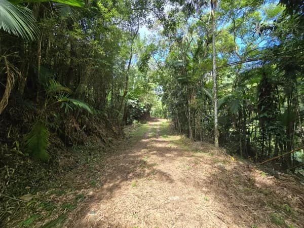Terreno para sítio com valor imperdível