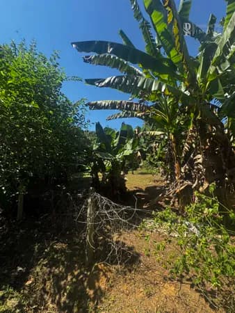 🏡 Terreno à venda no Bairro dos Estados – Indaial/SC