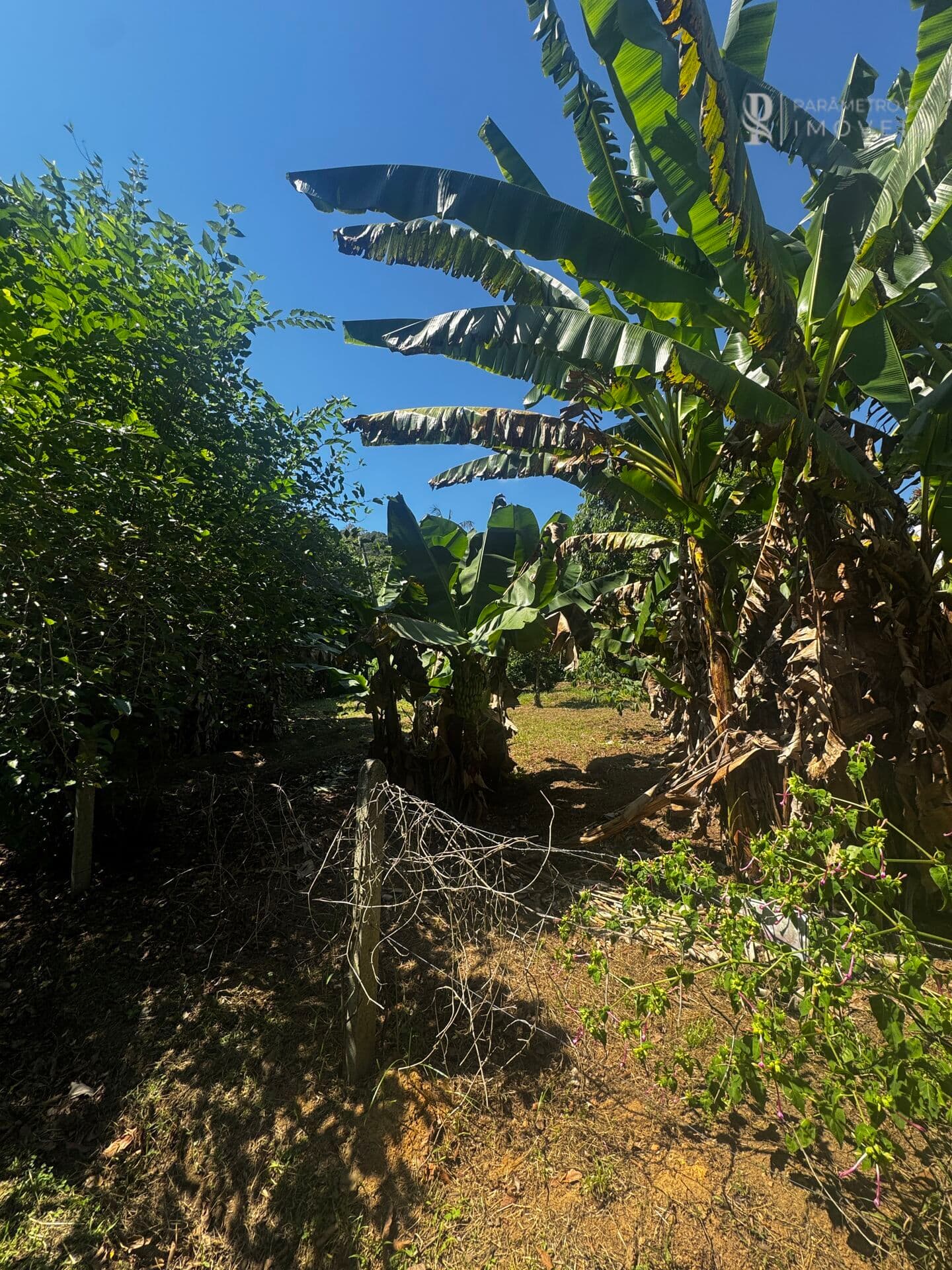 🏡 Terreno à venda no Bairro dos Estados – Indaial/SC