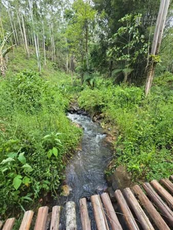 Sítio em Santa Maria, Benedito Novo/SC