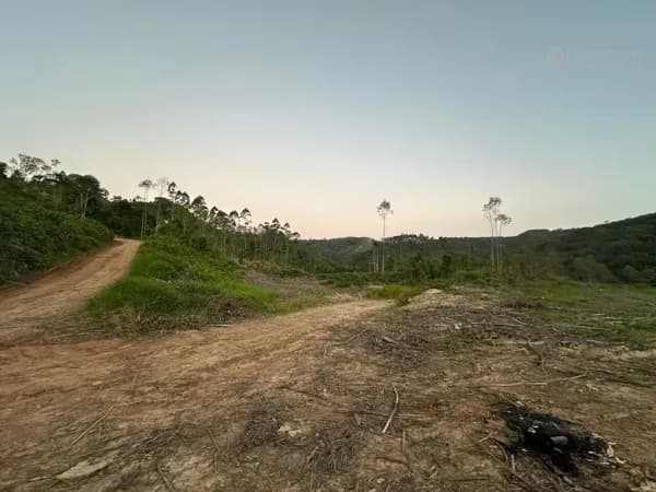 Terreno Ribeirão Santa Bárbara - Ascurra