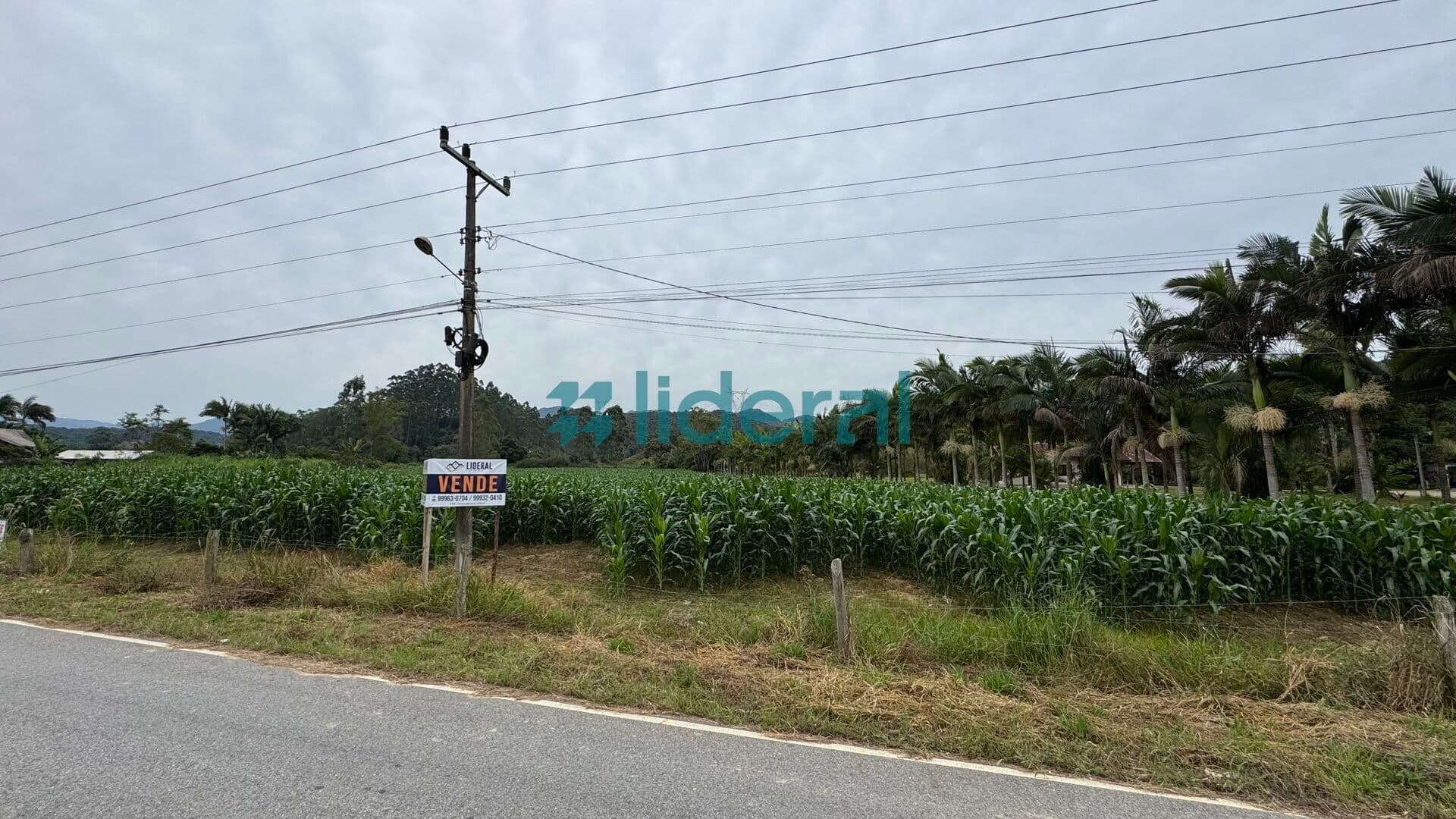 Terreno a Venda em Canelinha/SC