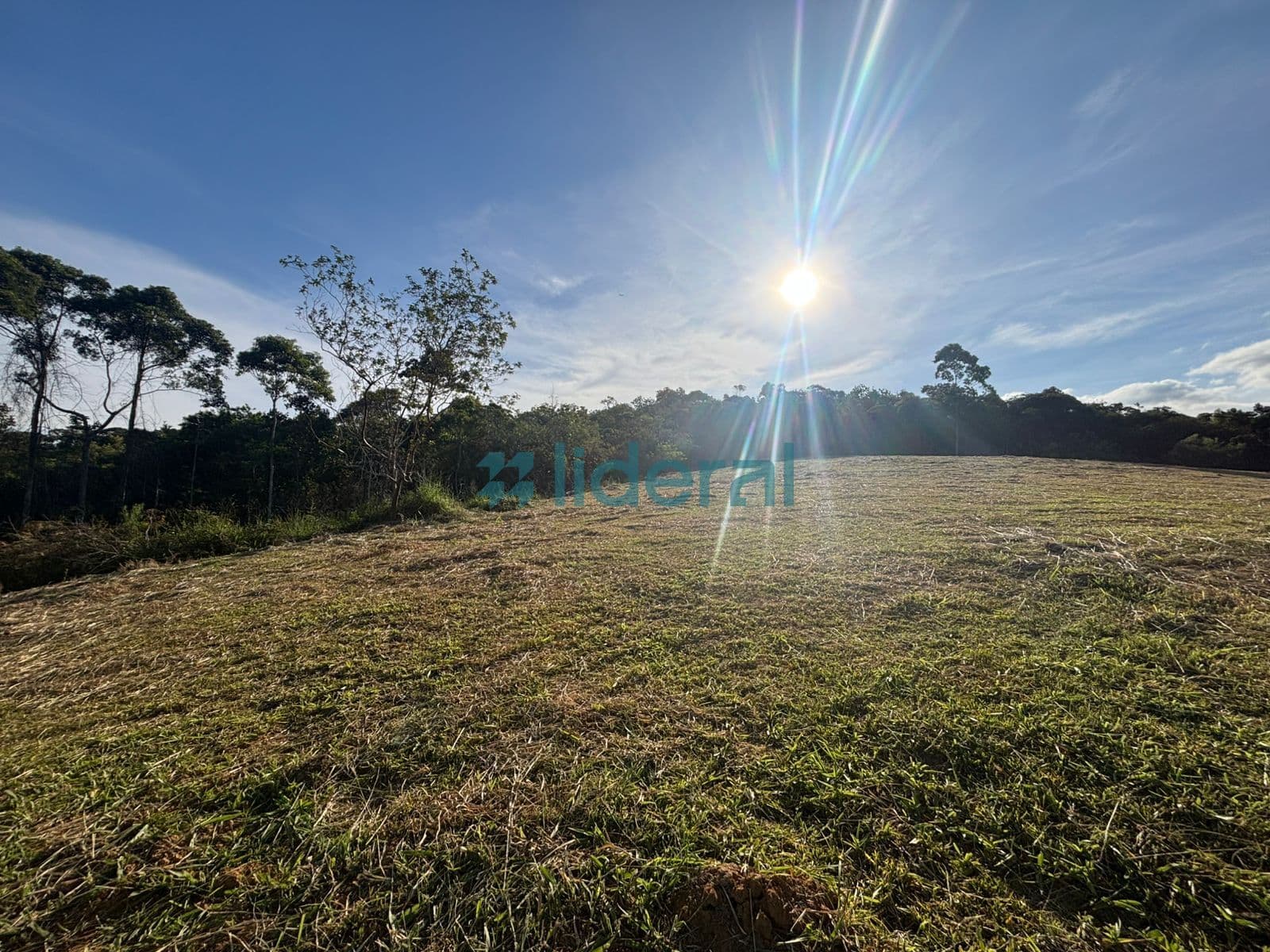 Lote/Terreno em Canelinha - Centro