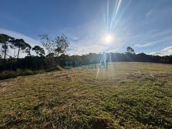 Lote/Terreno em Canelinha - Centro