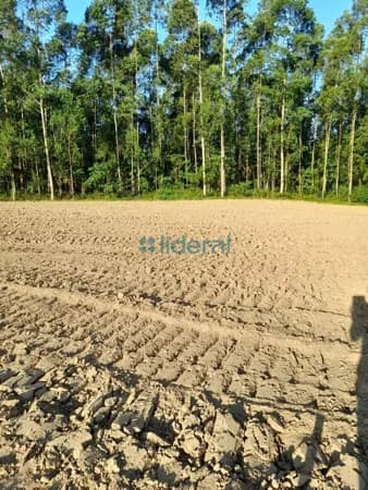 Terreno Rural a venda em Canelinha/SC