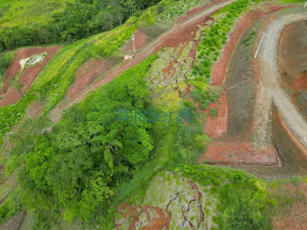 Terreno Rural à venda em Canelinha/SC