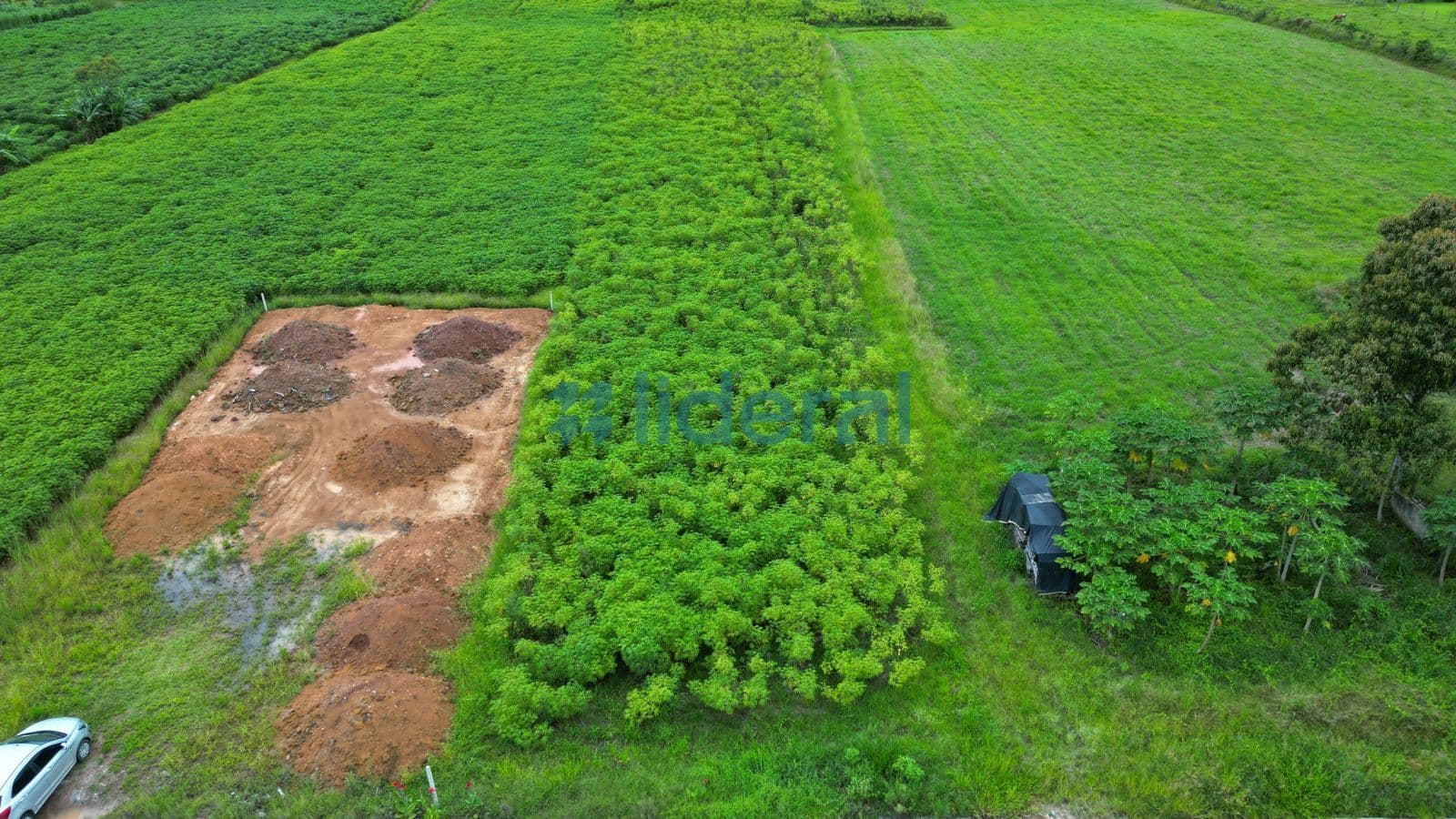Lote/Terreno em Canelinha - Moura