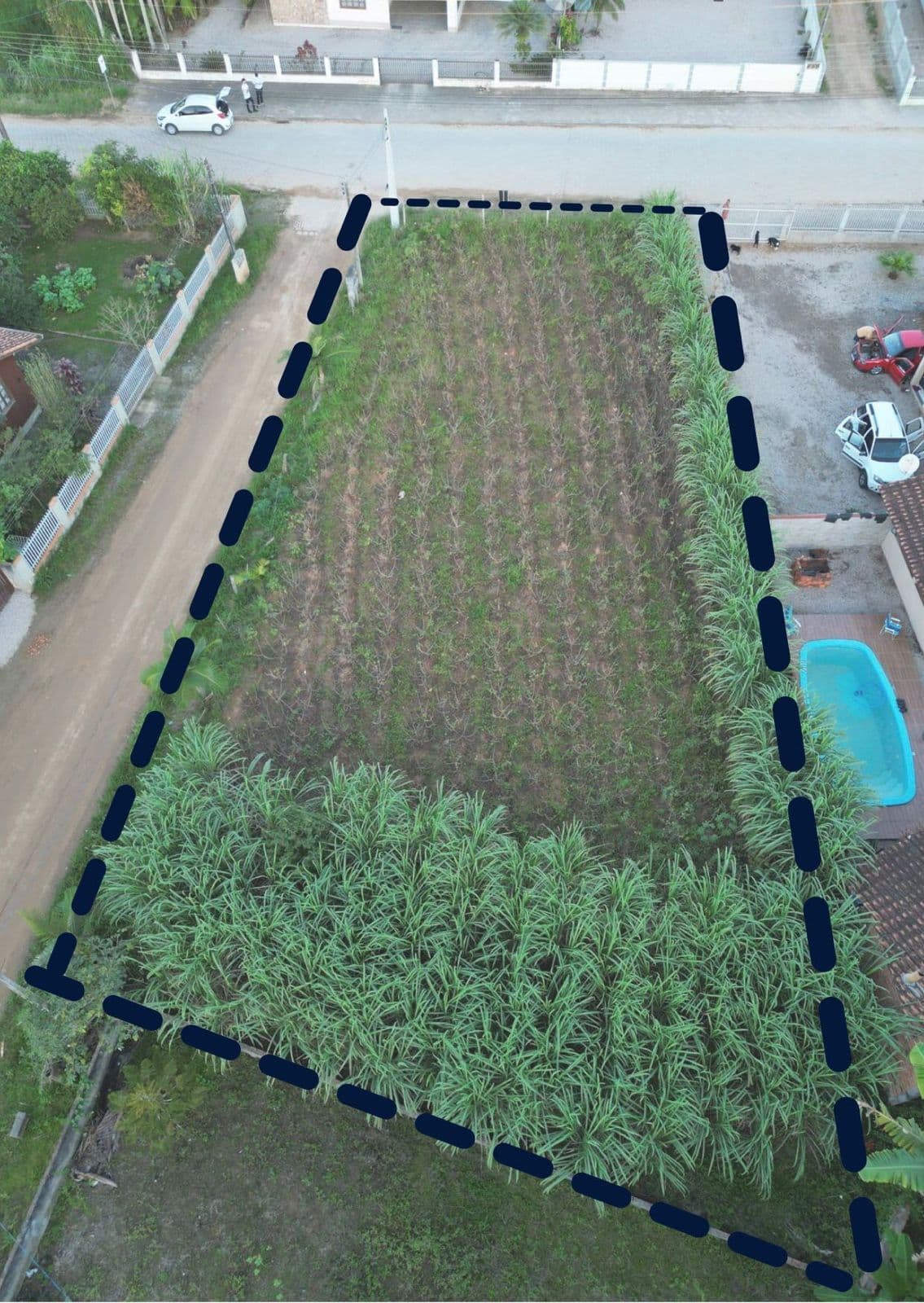 Lote/Terreno em Canelinha - Cobre