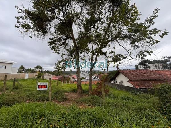 Lote/Terreno em Canelinha - Areião