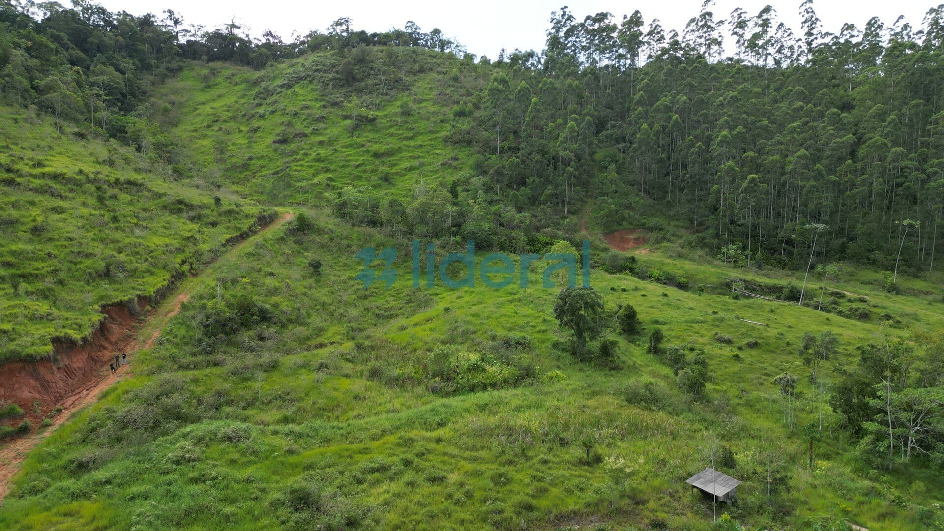 Lote/Terreno em Tijucas - Campo Novo