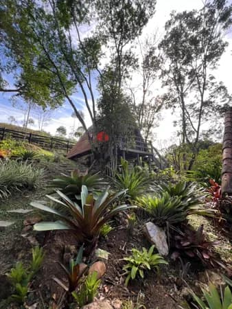 Fazenda/Sítios/Chácaras em São João Batista - Krequer
