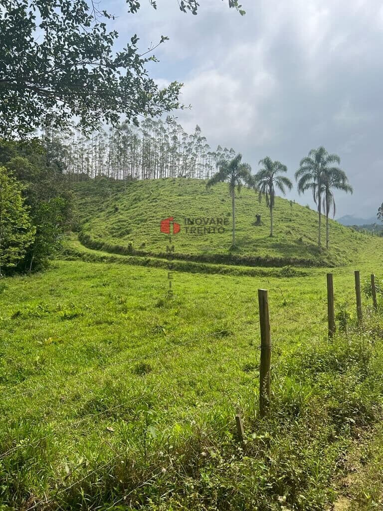 Fazenda/Sítios/Chácaras em Nova Trento - Pitanga