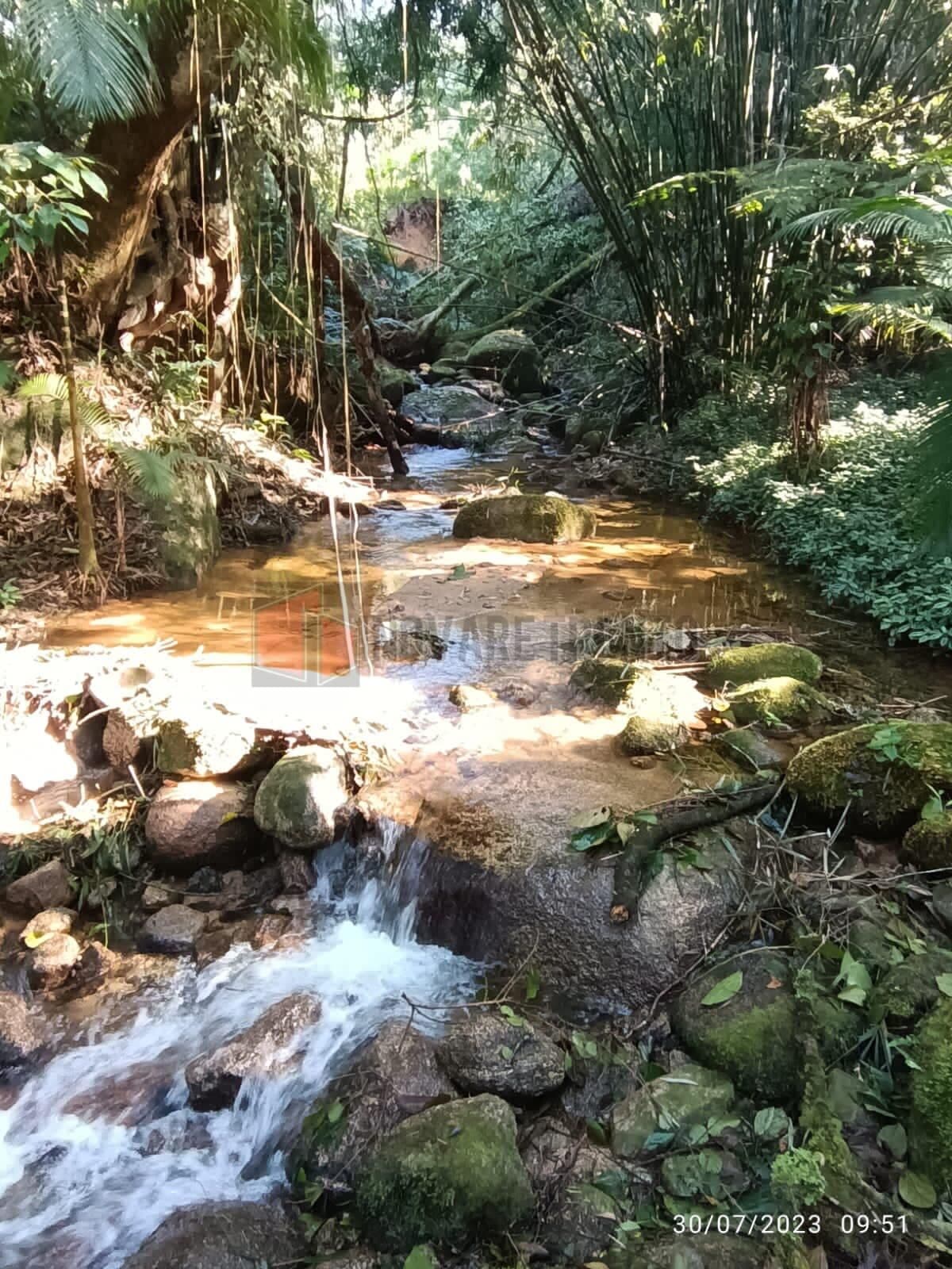 Fazenda/Sítios/Chácaras em Nova Trento - Centro