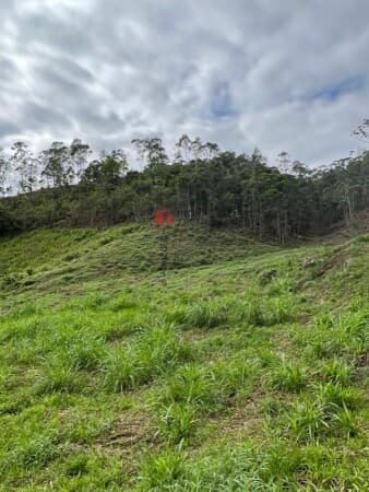 Fazenda/Sítios/Chácaras em Nova Trento - Frederico