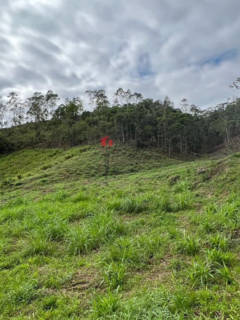 Fazenda/Sítios/Chácaras em Nova Trento - Frederico