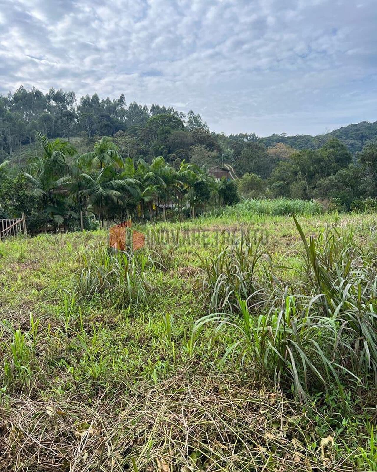 Área Residencial ou Rural
