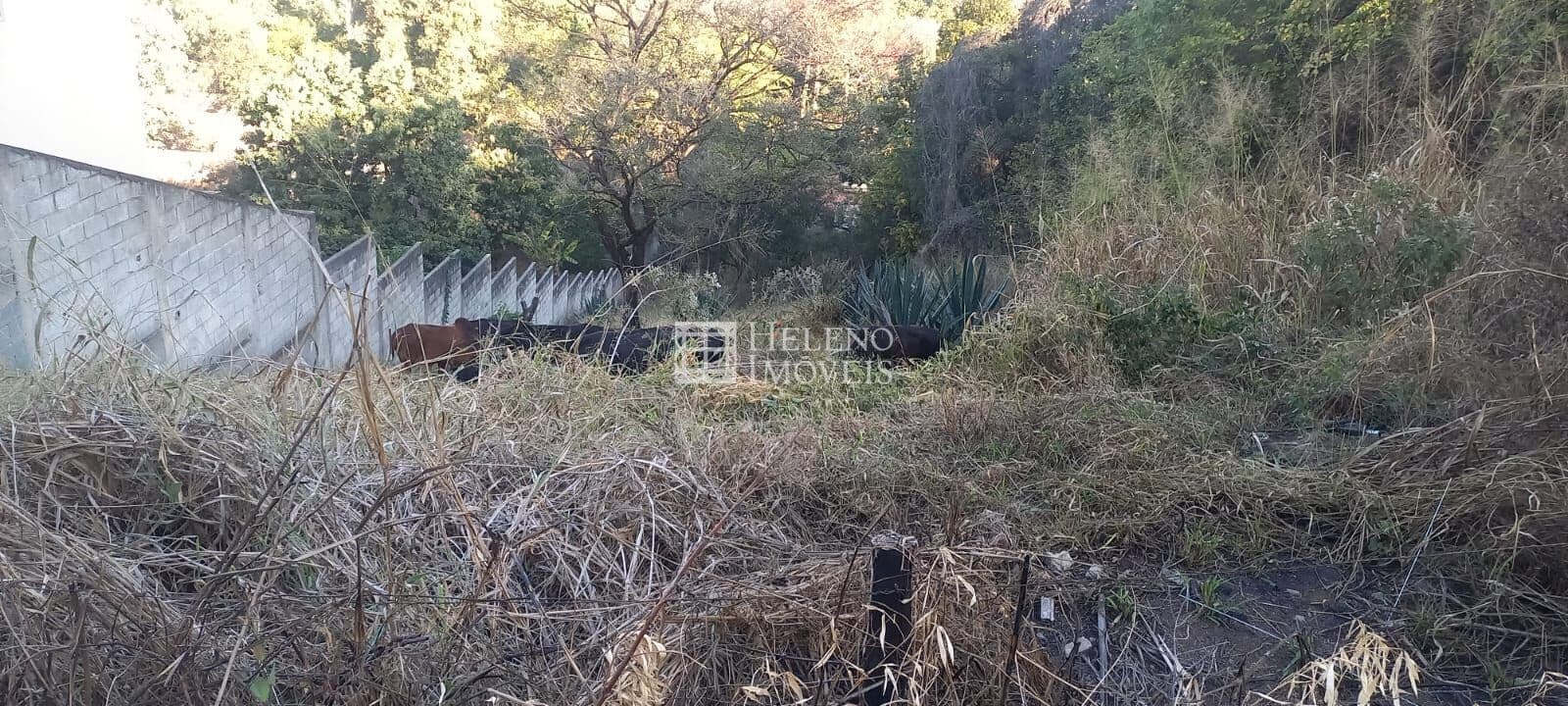 Terreno Lote em Jardim Encantado, Vespasiano/MG