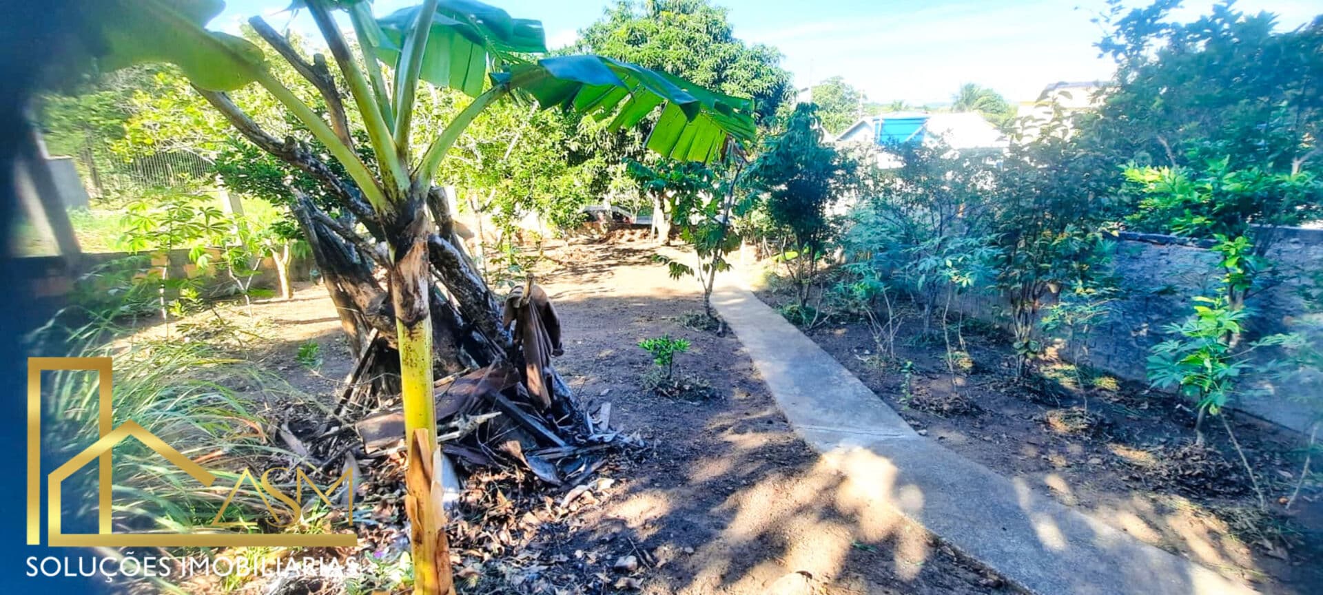 Terreno em São José, com 420 metros, murado, árvores frutíferas, edícula…