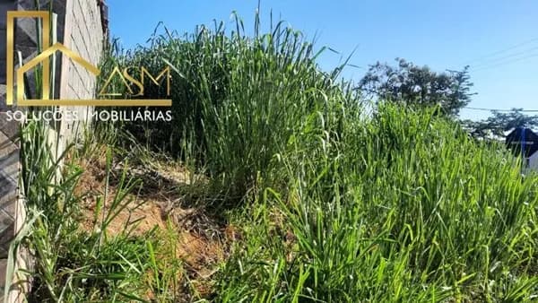 Vendo Excelente Terreno de 360 m2, de Frente p/ Lagoa em Araçatiba - Maricá - RJ